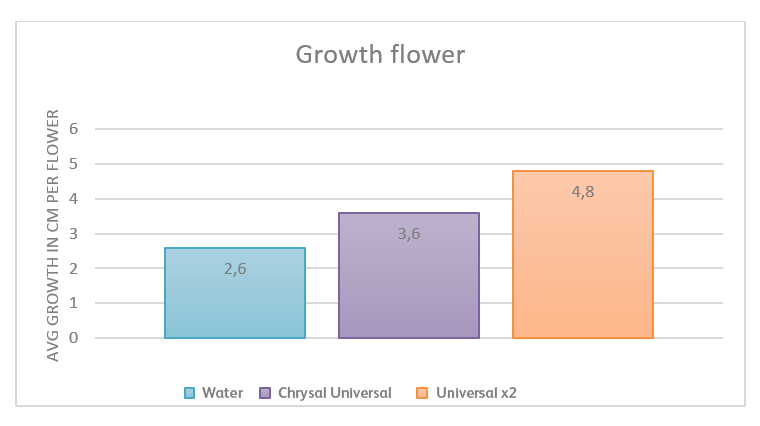 Graph growth Helianthus on flower food