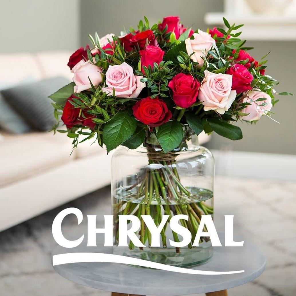 Chrysal Roses