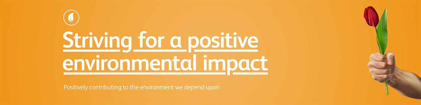 positive impact