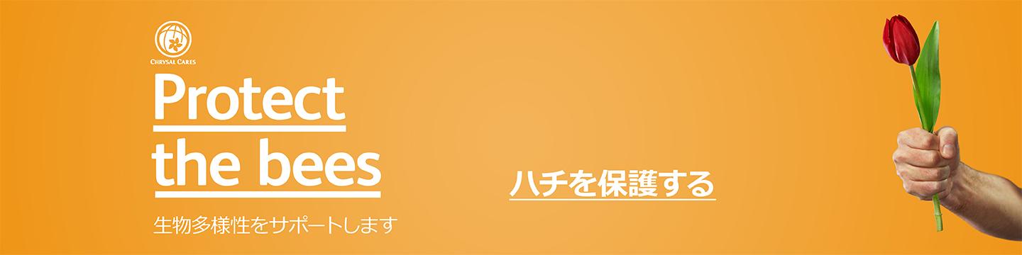 プラスの環境影響