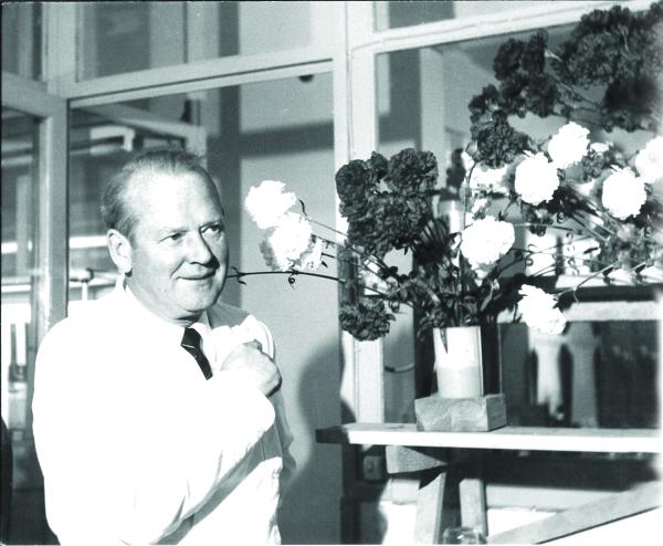 Inventor Chrysal Flower food