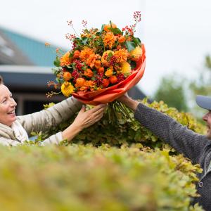 Pure seasonal flowers