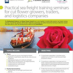 sea freight training
