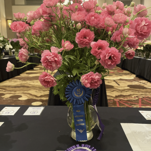 SAF Best in Show 2025