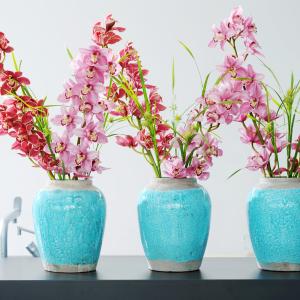 Prachtige orchideeën in vaas