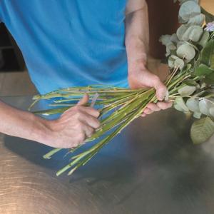 Florist cutting stems