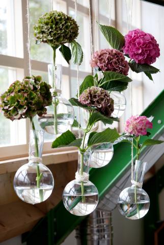 Bloemenbureau Holland