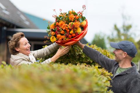 Pure Seasonal Flowers