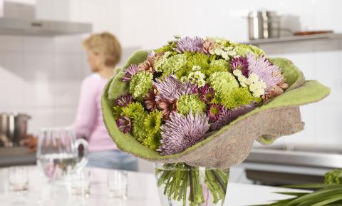 Flower of the Month - Chrysanthemum