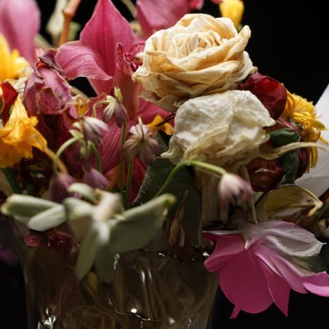 Wilt Flowers 002