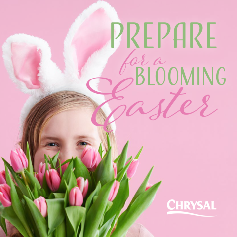 Easter Chrysal Solutions