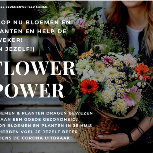 Corona Flower Power NL