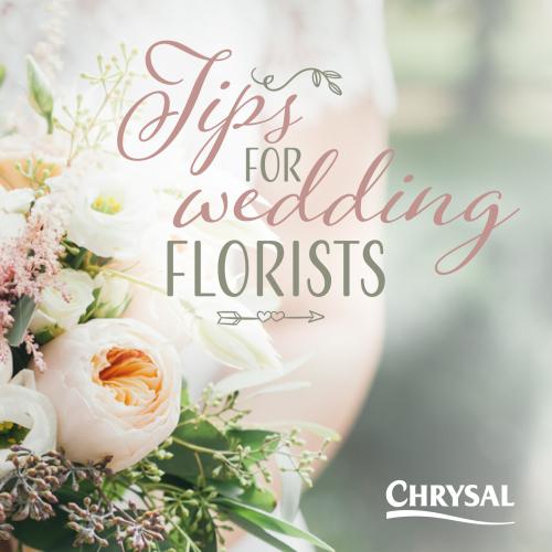 wedding booklet