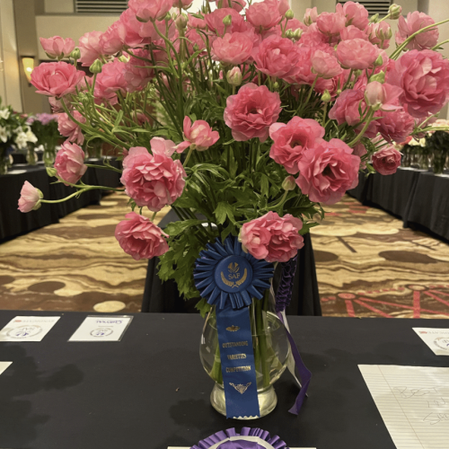 SAF Best in Show 2025