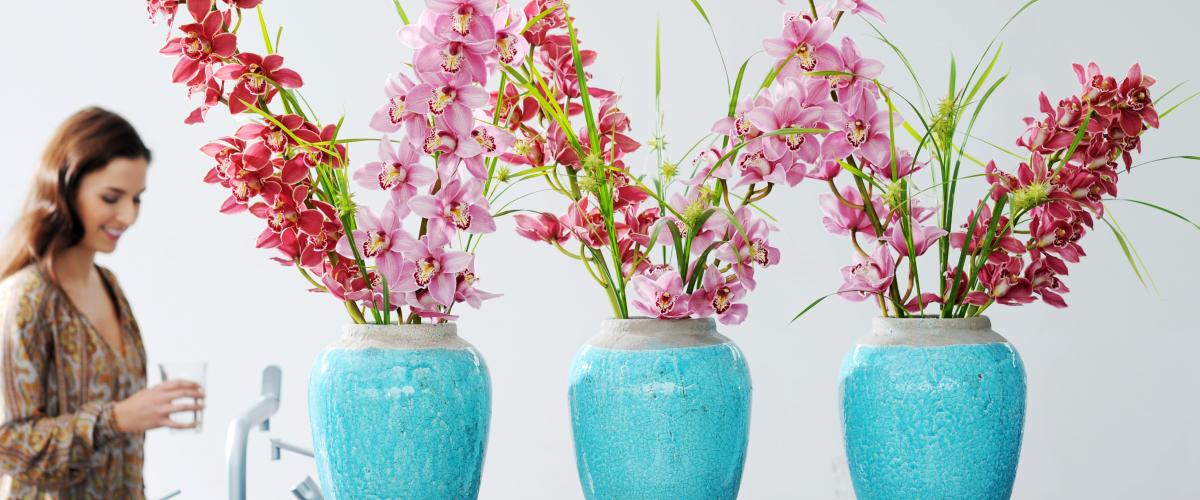 Prachtige orchideeën in vaas