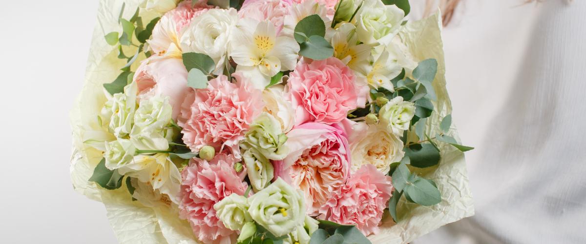 100/% Natural Carnation Preserved Flowers 23COLORS 8PCS//BOX