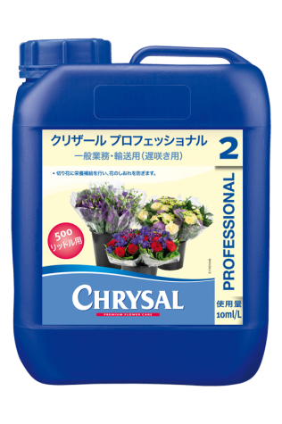 プロフェッショナル２