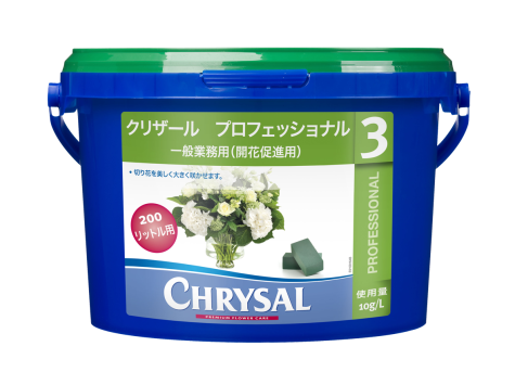 プロフェッショナル3