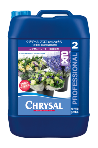 プロフェッショナル2コンセントレート