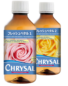 フレッシュペタル