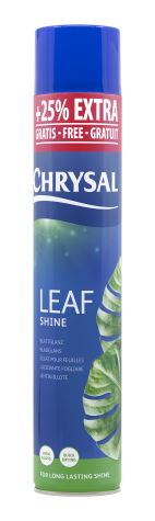 Chrysal Leafshine Aerosol Spray 25 Ounces Bundled by Evergreen Farm and  Garden (3 Pack)