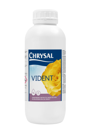 Vident 1L