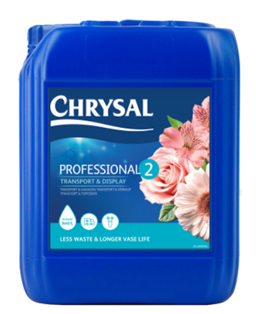  Chrysal Professional Glory Flower and Foliage Finish — Floral  Supplies for Fresh Flowers — Spray for Fresh Cut Flower Arrangements — Cut  Flower Preservative Spray — Ideal Florist Supplies : Patio, Lawn & Garden