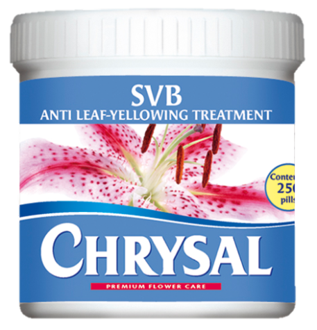Chrysal SVB against leaf yellowing
