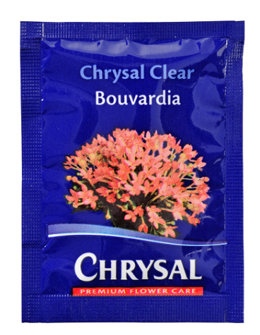 Chrysal Clear Bouvardia