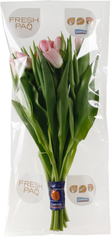 Chrysal FreshPaq packshot