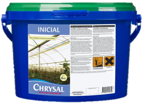 Inicial - Kenya