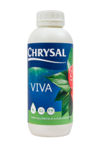 chrysal viva