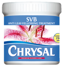 Chrysal SVB against leaf yellowing