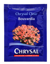 Chrysal Clear Bouvardia