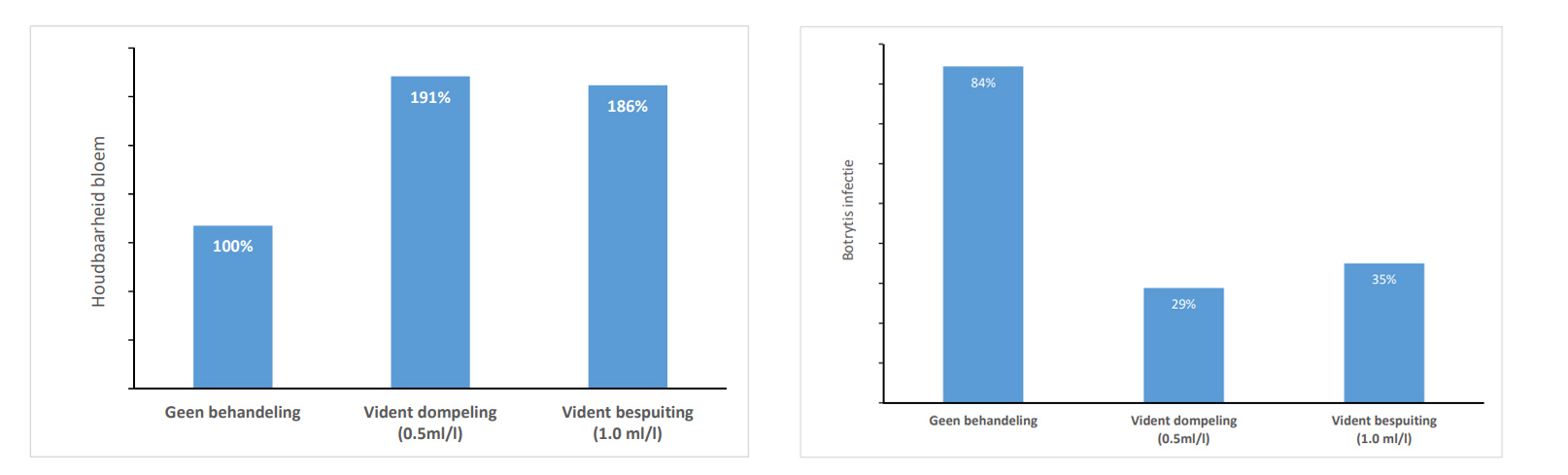 effect of chrysal vident